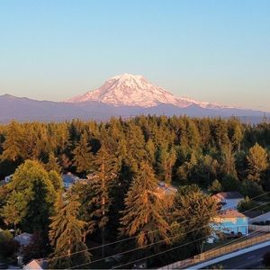 Meet your Posher, Owen